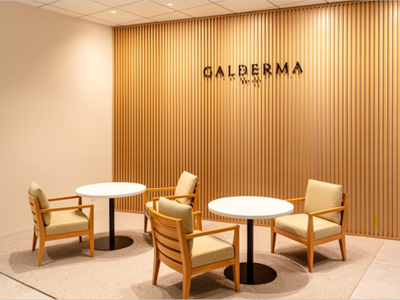 ガルデルマ株式会社のオフィス写真