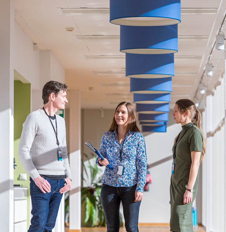 A man and two women talking in the office