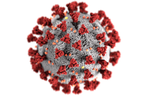 Corona virus under microscope